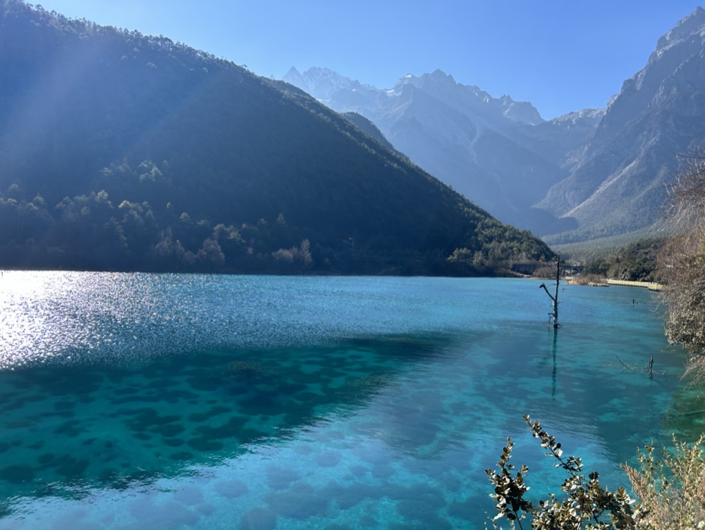 A5AE085A-65BA-4404-BE63-F68FFEB3544C_1_105_c https://ther1sing3un-personal-resource.oss-cn-beijing.aliyuncs.com/blog/2023-01-01/A5AE085A-65BA-4404-BE63-F68FFEB3544C_1_105_c.jpeg